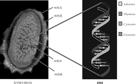 圖片1.png 圖片1.png